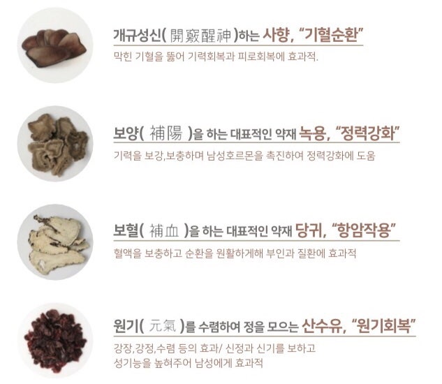 공진단 관련 이미지 4