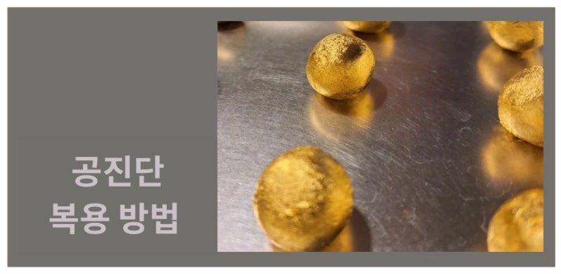 공진단 관련 이미지 6