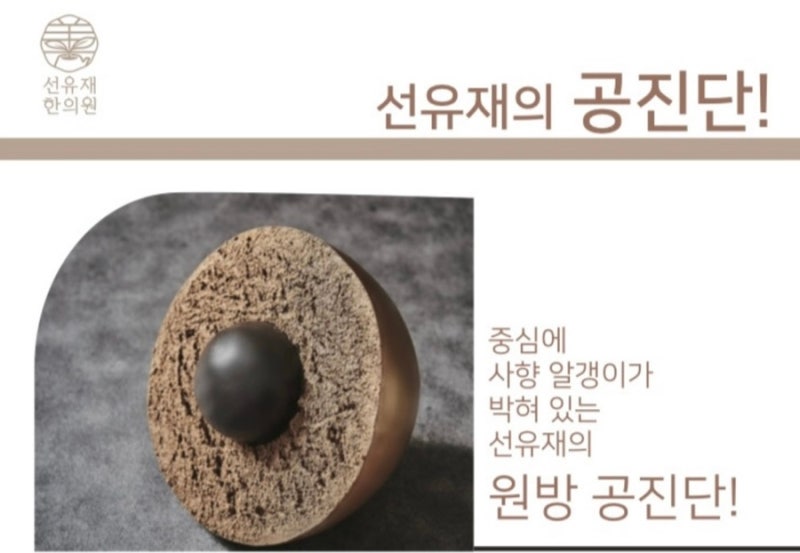 공진단 관련 이미지 7