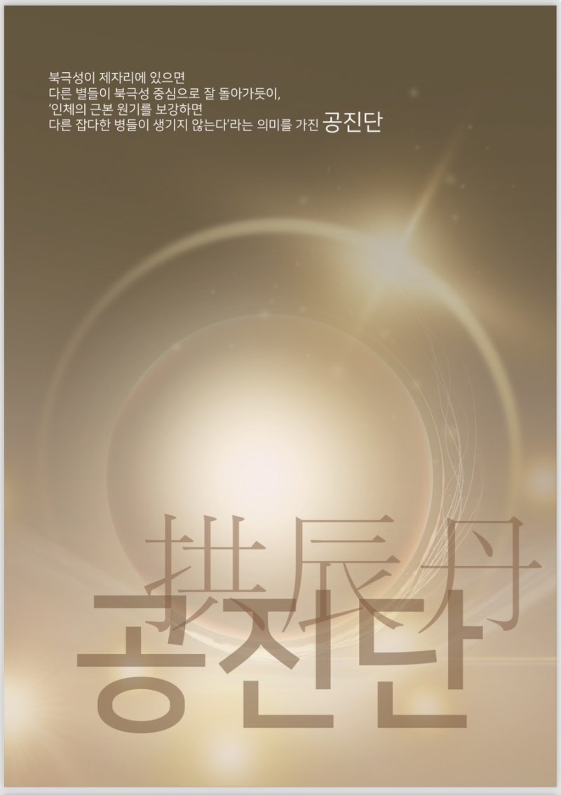 공진단 관련 이미지 8