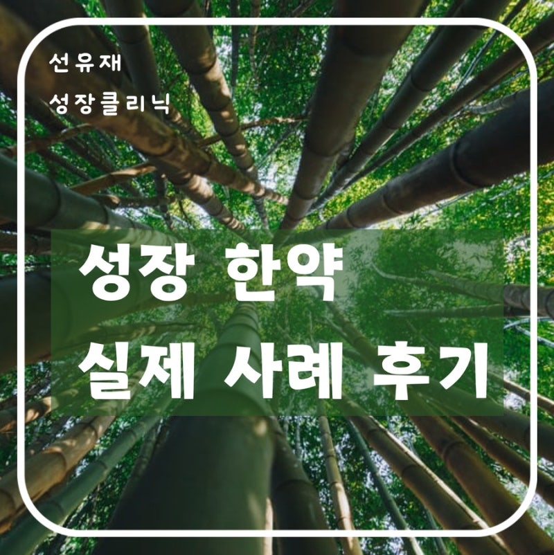 동천동 선유재 한의원! 성장 클리닉의 놀라운 "성장 한약" 후기