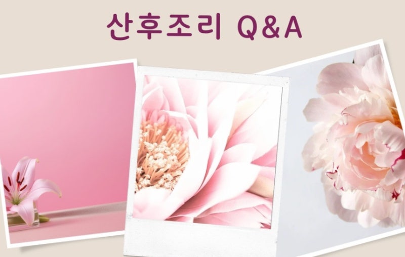 산후 관련 이미지 7