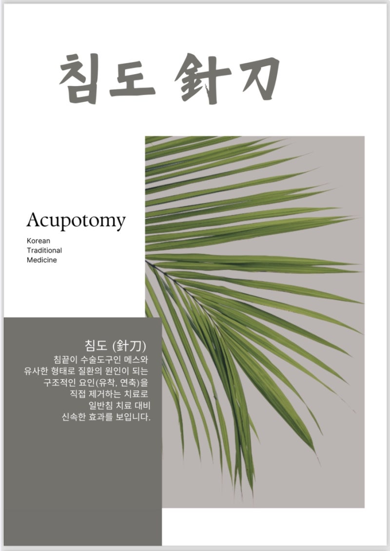 침도 관련 이미지 4