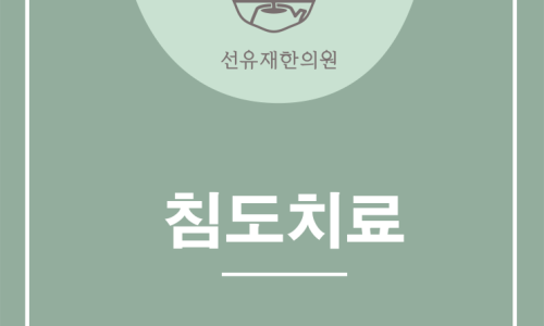 침도 관련 이미지 8