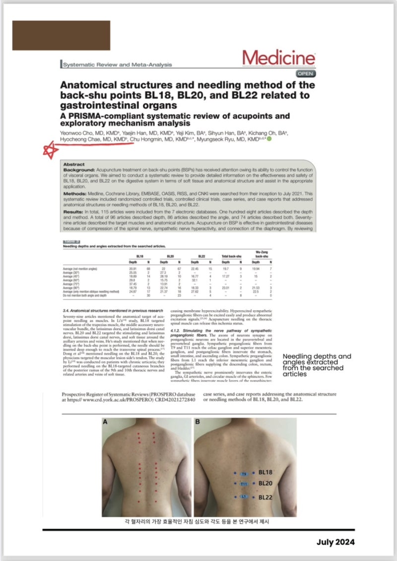 Image related to A Researching Korean Medicine Doctor: July Research Activities Update 4