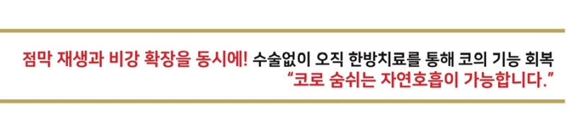 비염 관련 이미지 4