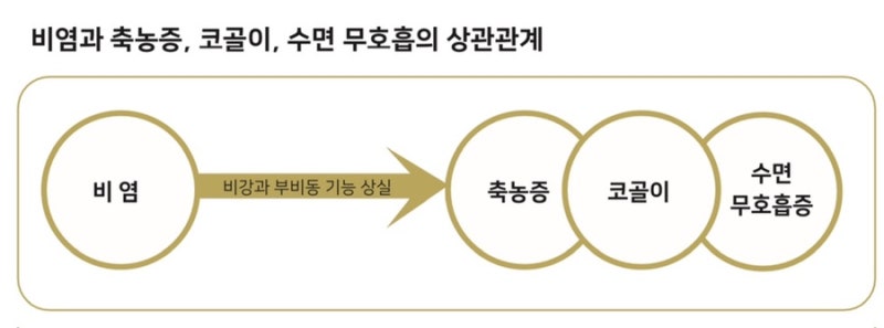 비염 관련 이미지 7