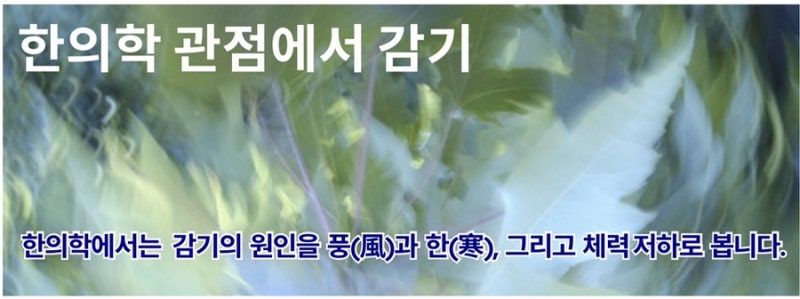 감기 관련 이미지 5