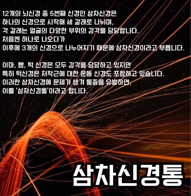 삼차신경통 관련 이미지 3