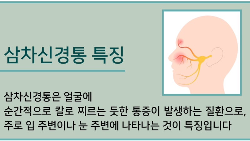 삼차신경통 관련 이미지 4