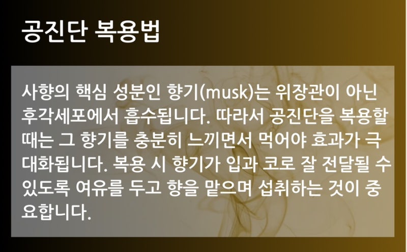 공진단 관련 이미지 3