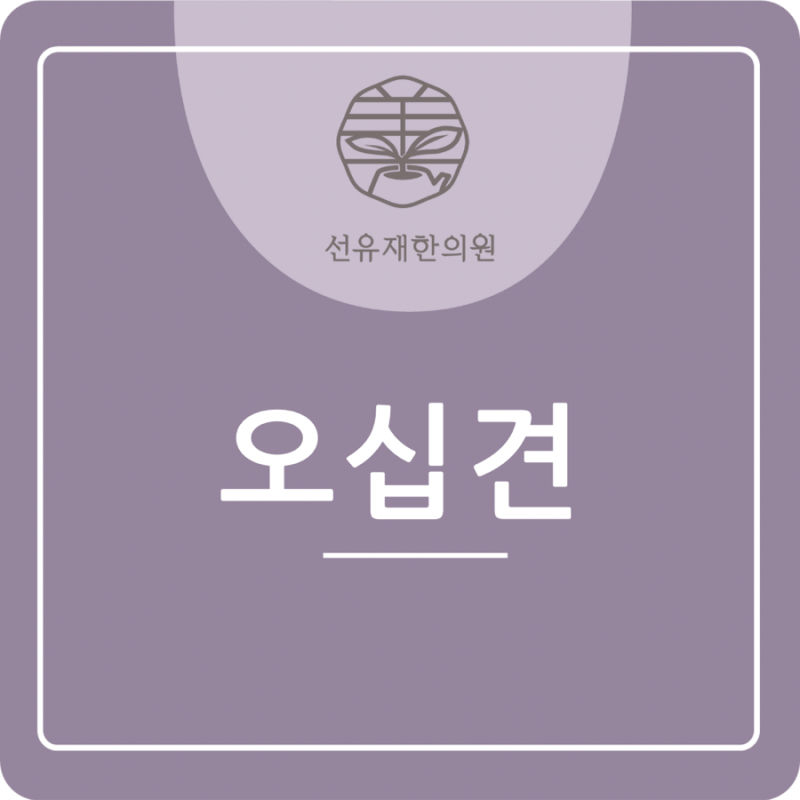 [수지 동천동 선유재한의원] 오십견의 원인과 치료 방법