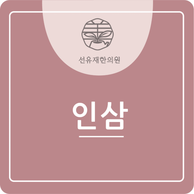 [수지 선유재한의원] 한약재 인삼의 효능과 부작용
