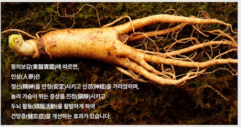 한약 관련 이미지 3