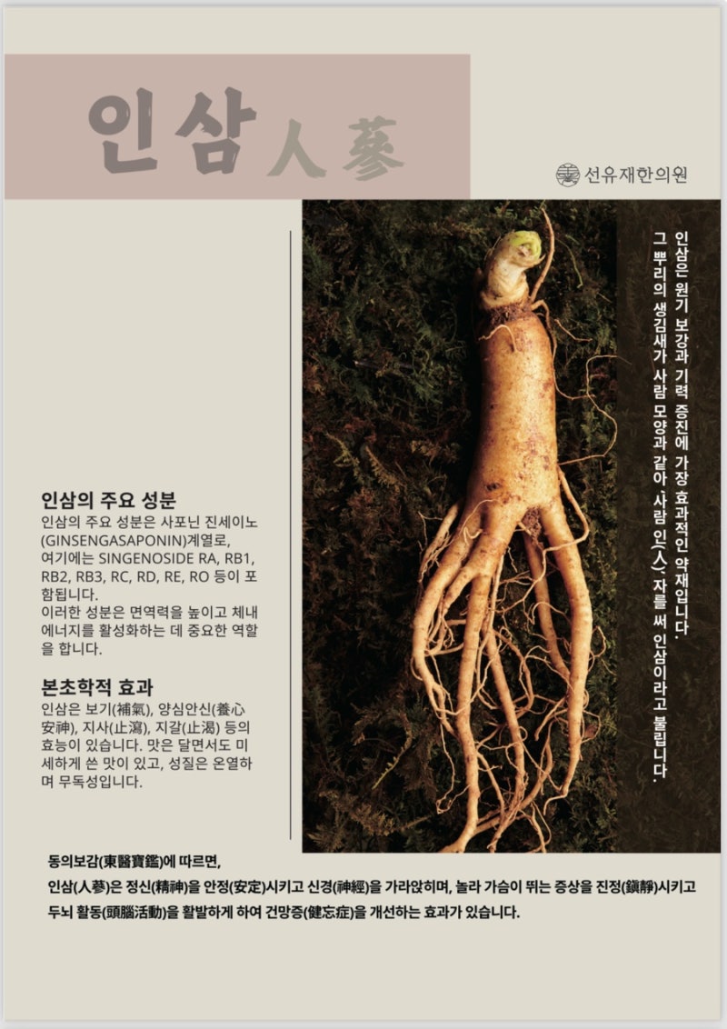 한약 관련 이미지 7