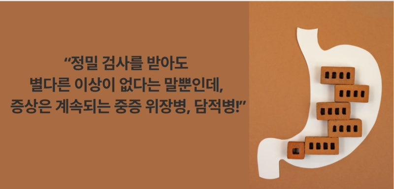 담적 관련 이미지 4