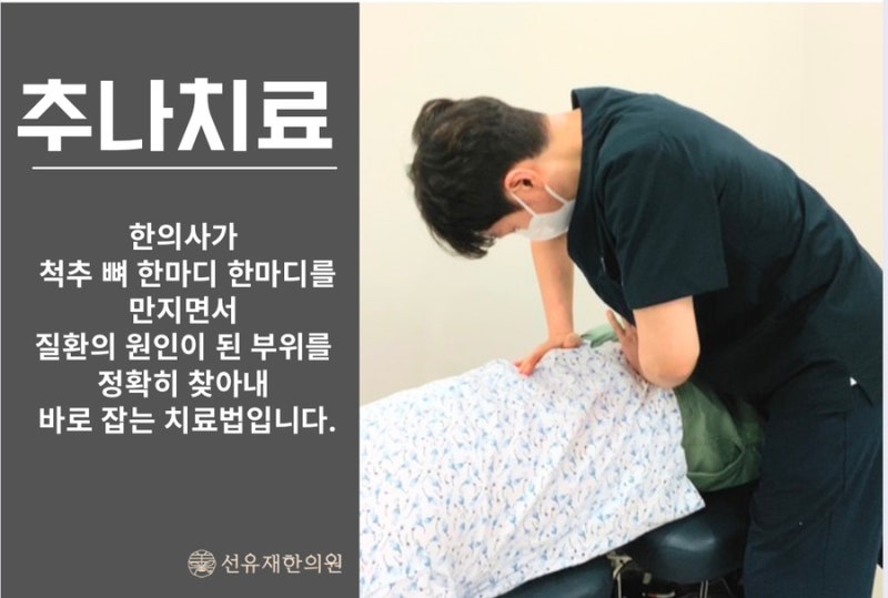 추나 관련 이미지 3