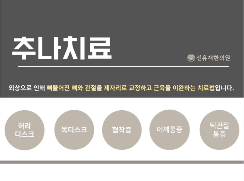 추나 관련 이미지 5