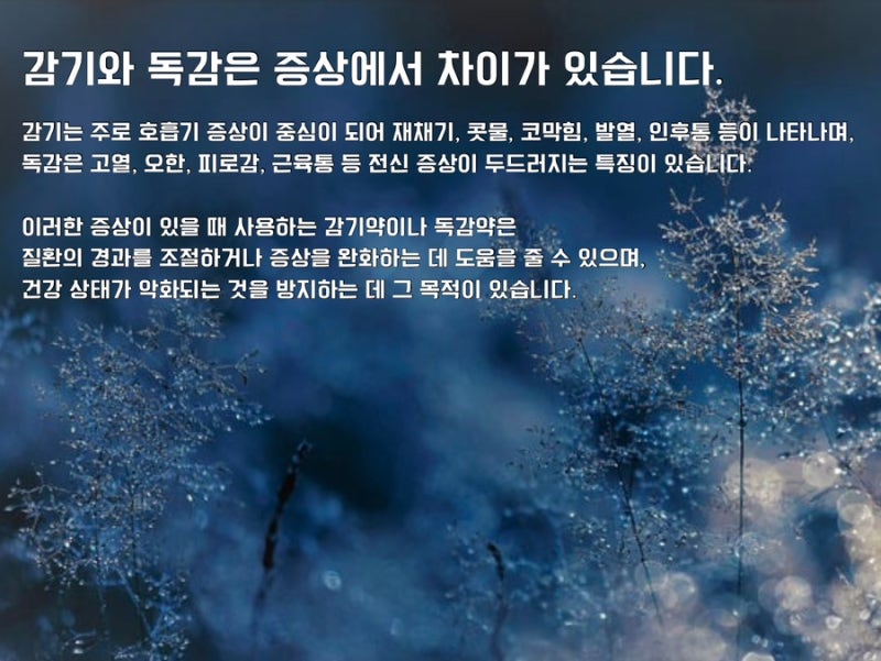한약 관련 이미지 5