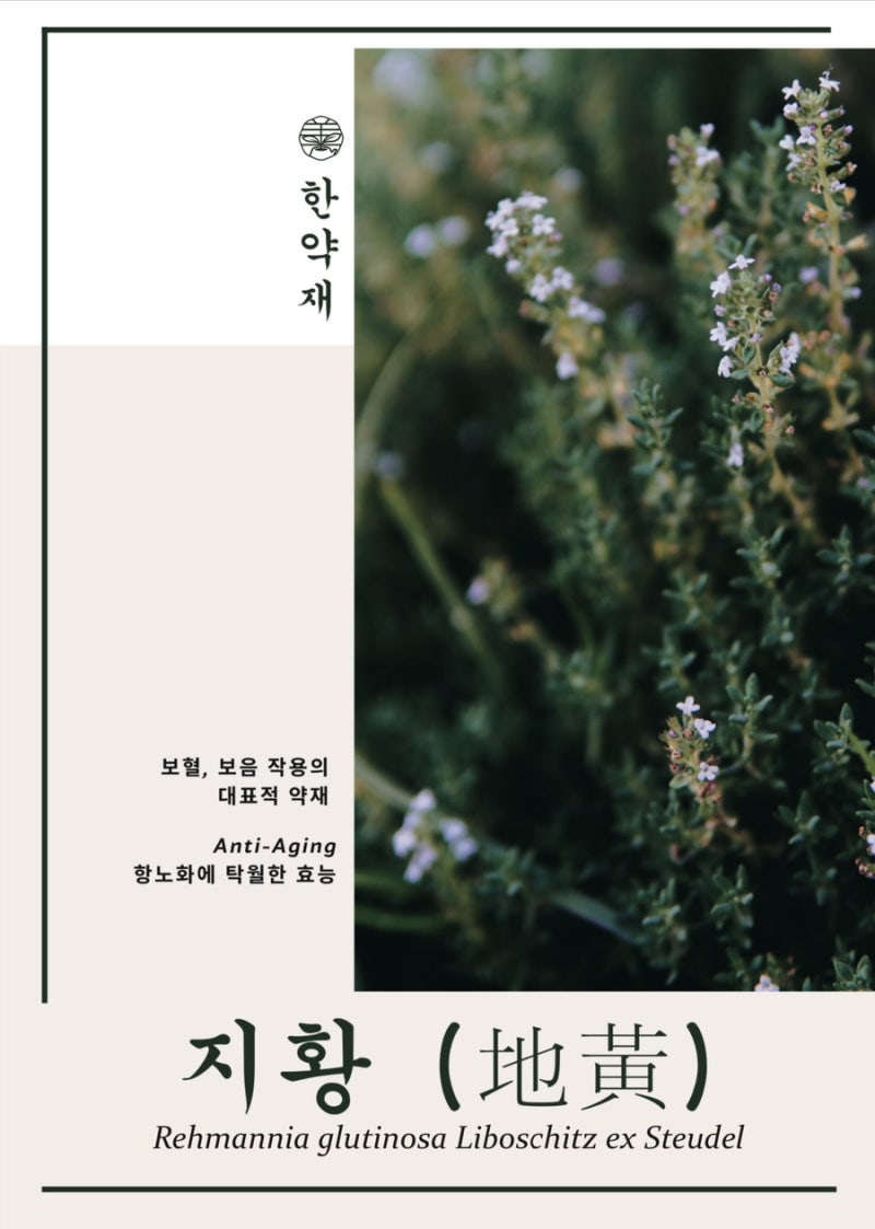 한약 관련 이미지 6