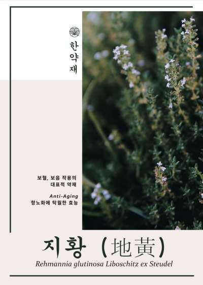 Image 14 related to February Korean Medicine Story