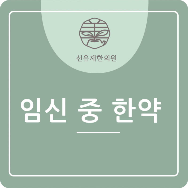 한약 관련 이미지 3