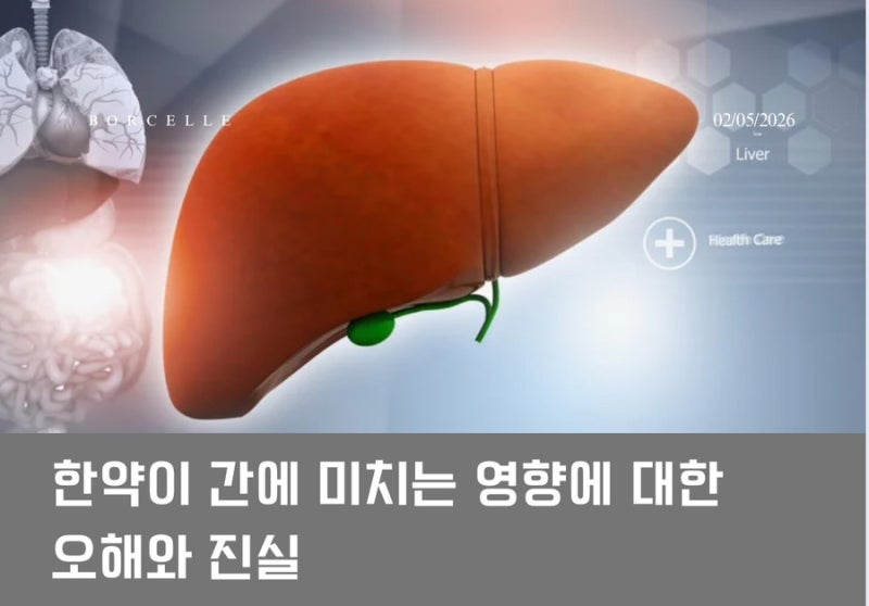 한약 관련 이미지 4