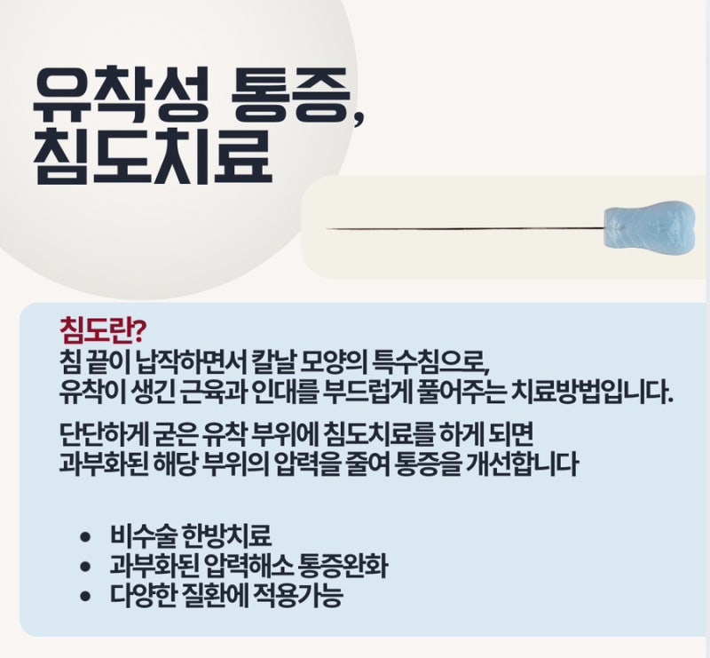 침도 관련 이미지 5