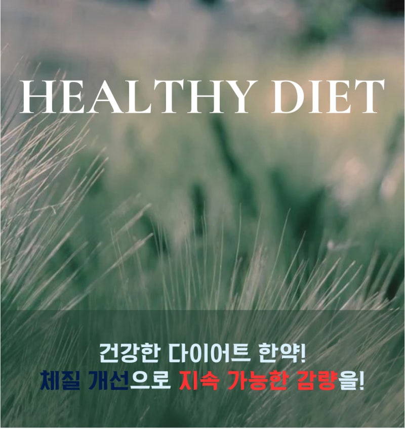 다이어트 관련 이미지 3