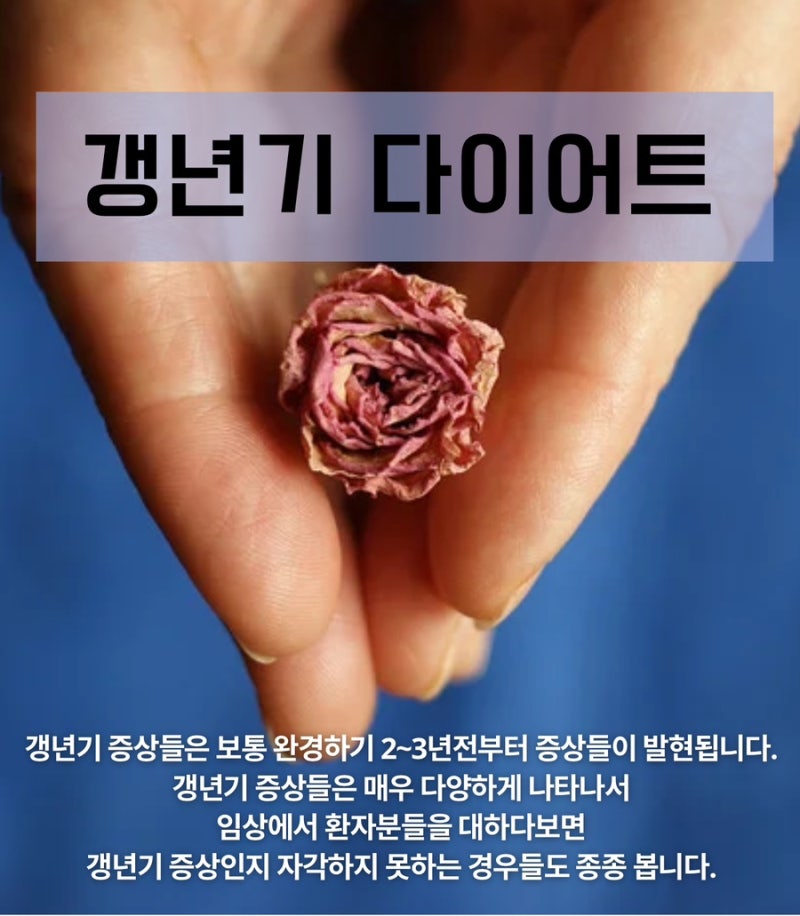 다이어트 관련 이미지 4