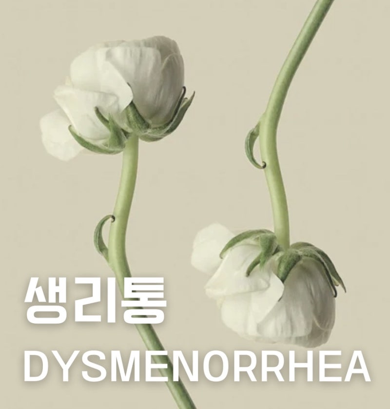 생리통 관련 이미지 3