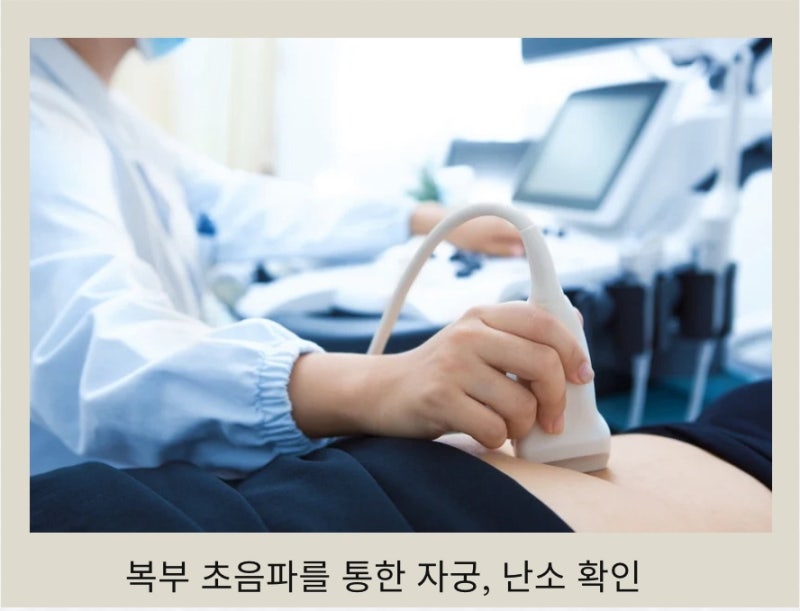 생리통 관련 이미지 4