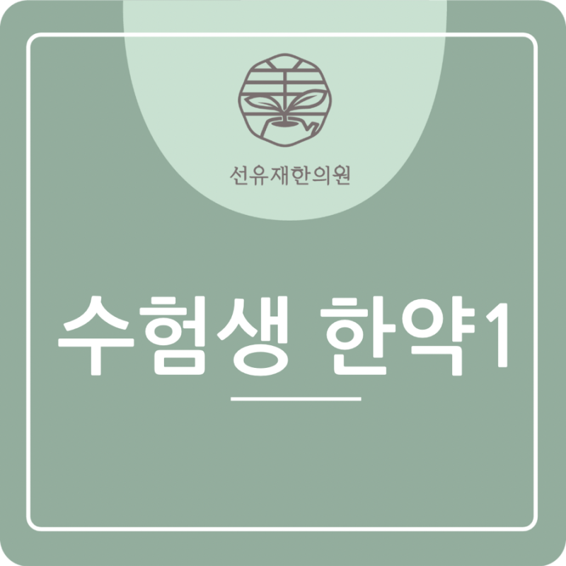한약 관련 이미지 2