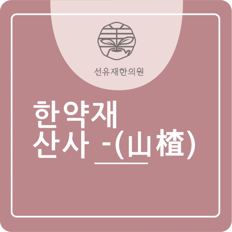 한약 관련 이미지 2