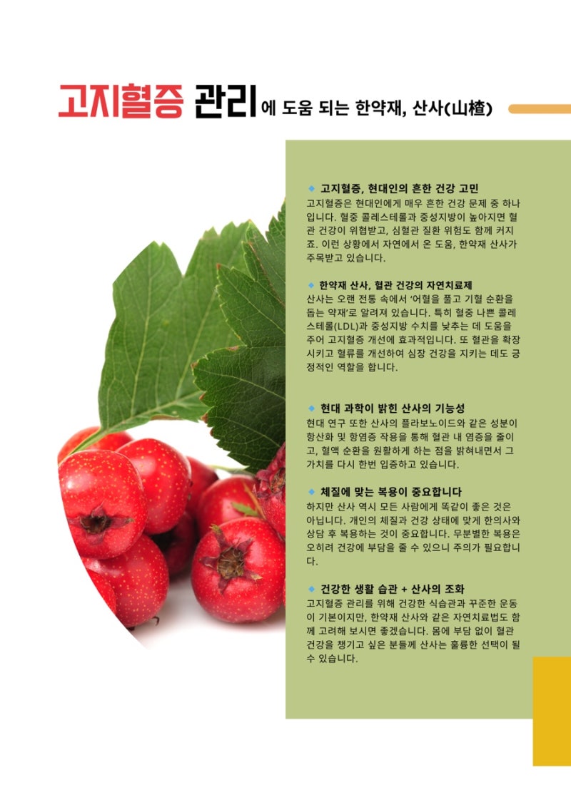 한약 관련 이미지 6