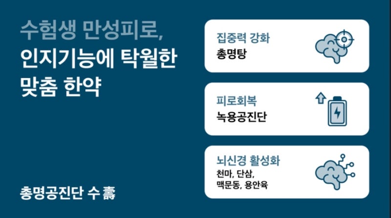 공진단 관련 이미지 7