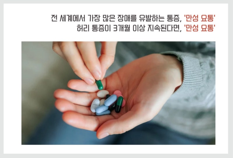 만성요통 관련 이미지 4