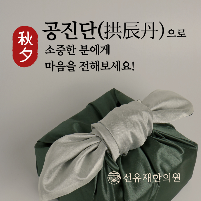 공진단 관련 이미지 2