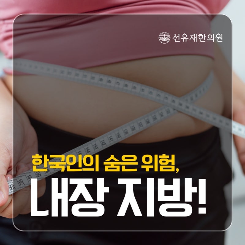 대사증후군 관련 이미지 2