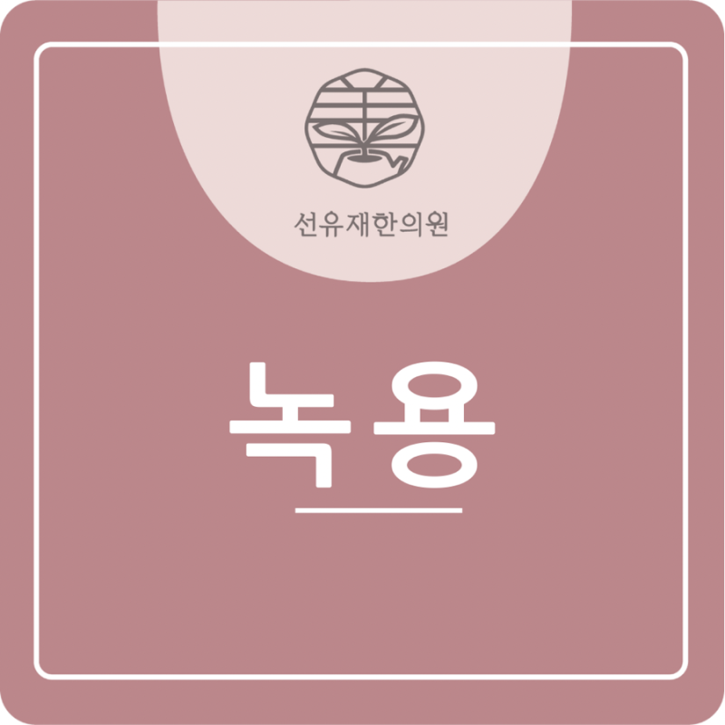 녹용 관련 이미지 2