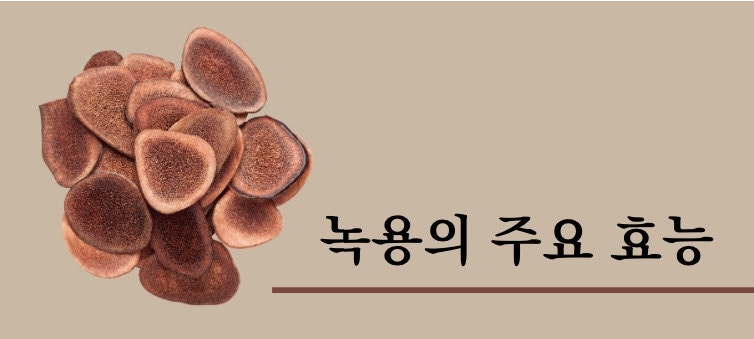 녹용 관련 이미지 5