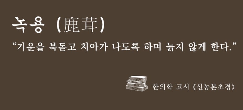 녹용 관련 이미지 6