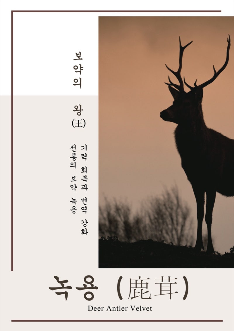 녹용 관련 이미지 7