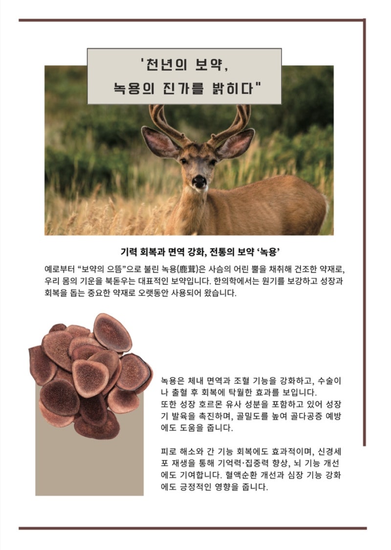 녹용 관련 이미지 8