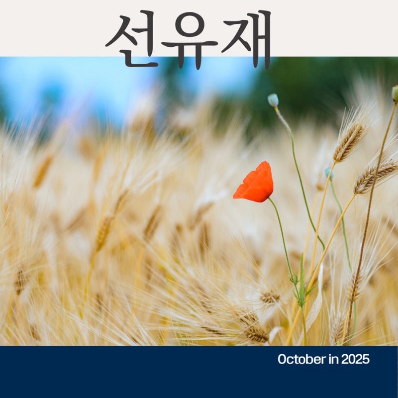 수지구한의원- 선유재한의원 10월 한 관련 이미지 2