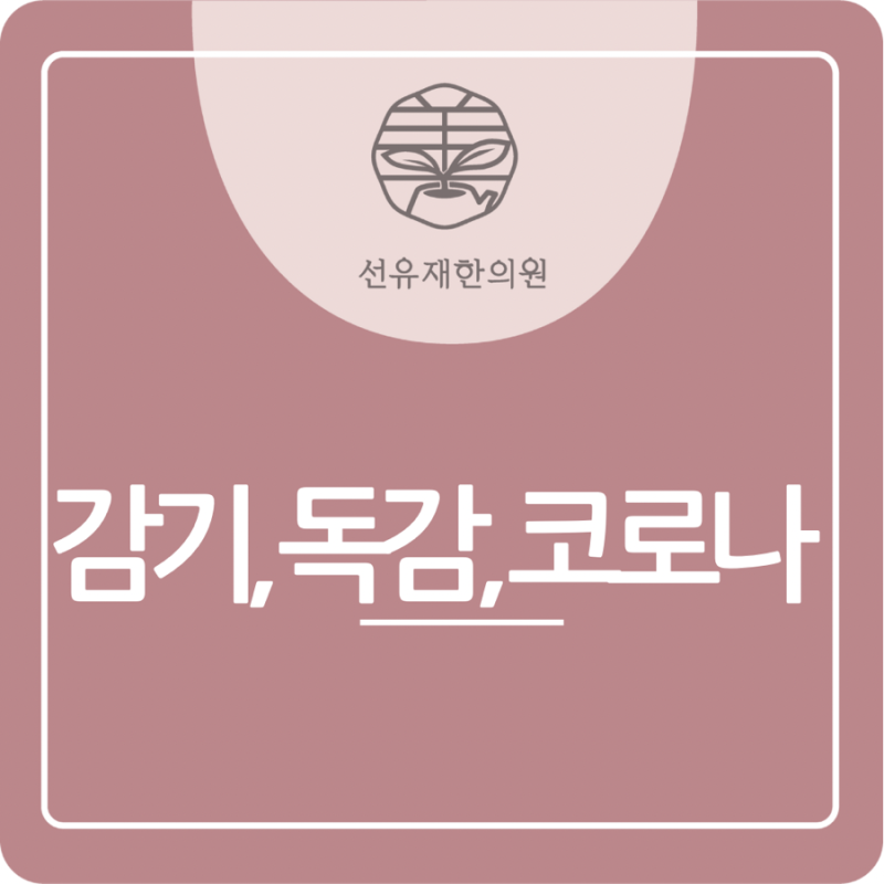 감기 관련 이미지 2
