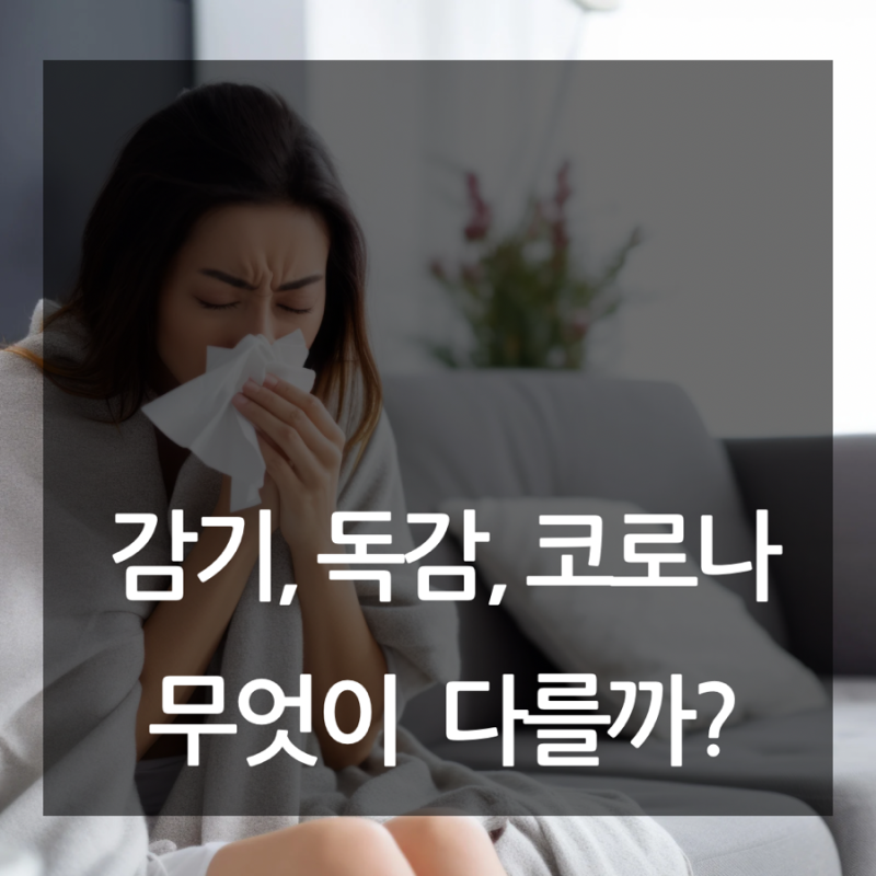 감기 관련 이미지 4