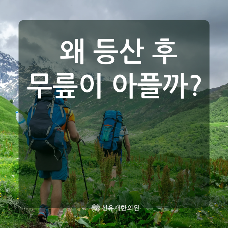 산후 관련 이미지 4