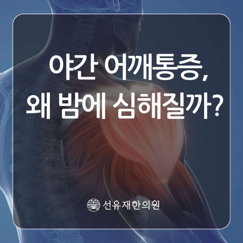 밤마다 아픈 어깨, 에서 원인부터 점 관련 이미지 2