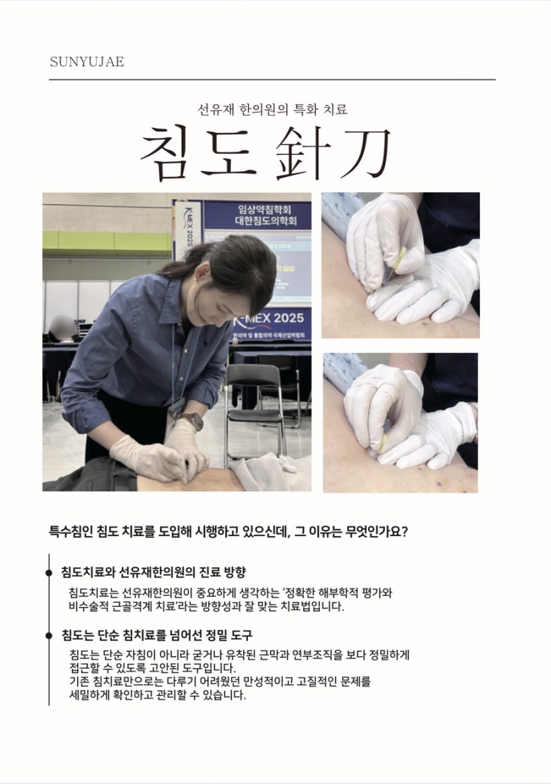 침도 관련 이미지 4